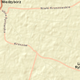 Międzybórz Street Map