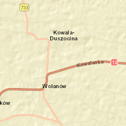 Wolanów Street Map
