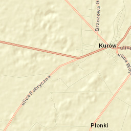 Kurów Street Map