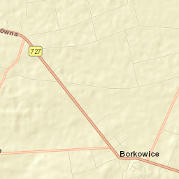 Borkowice Street Map