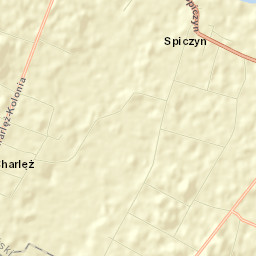 Spiczyn Street Map