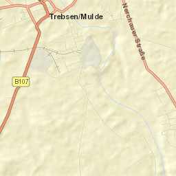 Trebsen Street Map