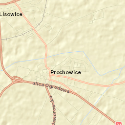 Prochowice Street Map