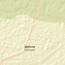Zalissia Street Map