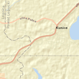 Kunice Street Map