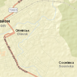 Olevsk Street Map