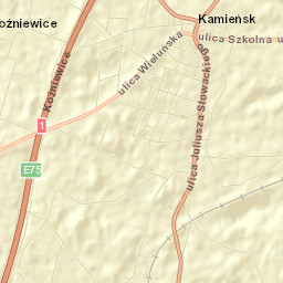 Kamieńsk Street Map