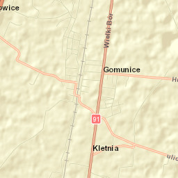Gomunice Street Map