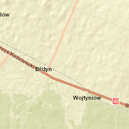 Bliżyn Street Map