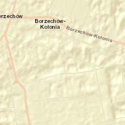 Borzechów Street Map