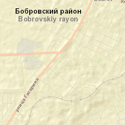 Bobrov Street Map