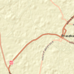 Praszka Street Map