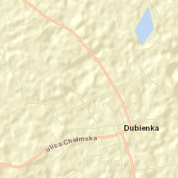 Dubienka Street Map