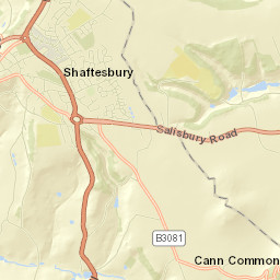 Shaftesbury Street Map