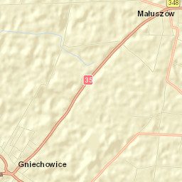 Gniechowice Street Map