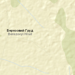 Berezovii Grud Street Map