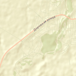 Staroaleyskoye Street Map