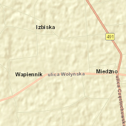 Miedzno Street Map