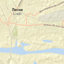Liski Street Map