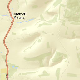 A350, Blandford Forum, Dorset DT11 8NS Street Map
