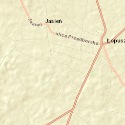Łopuszno Street Map