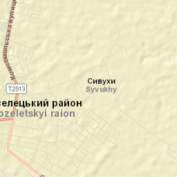 Kozelets’ Street Map