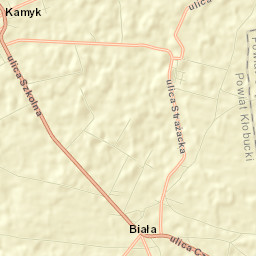 Kamyk Street Map