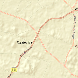 Waśniów Street Map
