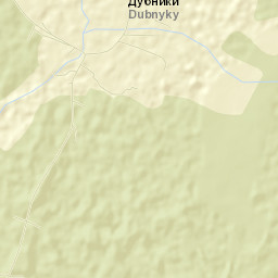 Dubnyki Street Map