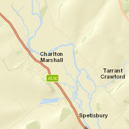 Charlton Marshall Street Map