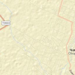 Chopovychi Street Map