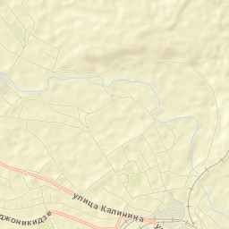 Buturlinovka Street Map