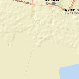 Svetlyy Street Map