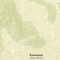 Bayanaul Street Map