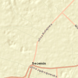 Secemin Street Map
