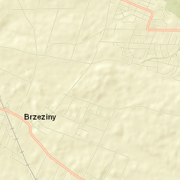 Brzeziny Street Map