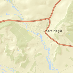 Bere Regis Street Map