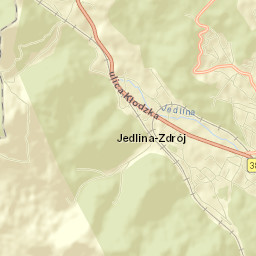 Jedlina-Zdrój Street Map