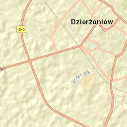 Dzierżoniów Street Map