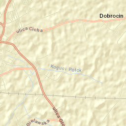 Powiat dzierżoniowski Street Map