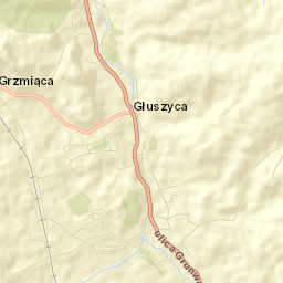 Głuszyca Street Map
