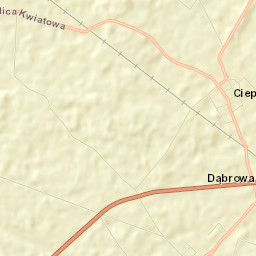 Dąbrowa Street Map