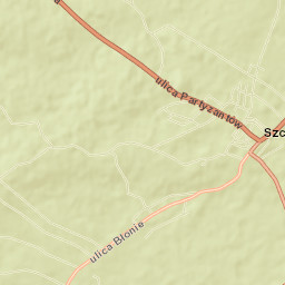 Szczebrzeszyn Street Map