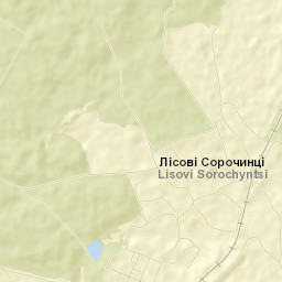 Lisovi Sorochyntsi Street Map