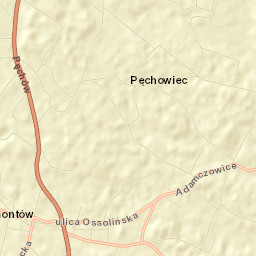 Klimontów Street Map