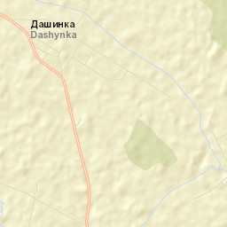 Dashynka Street Map