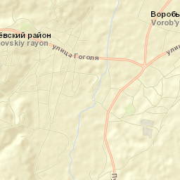 Vorob’yevskiy Rayon Street Map