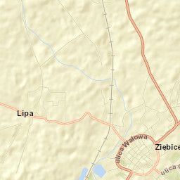 Ziębice Street Map