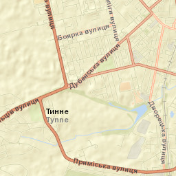 Rivne Street Map