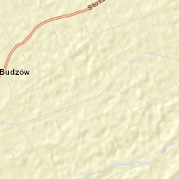 Budzów Street Map